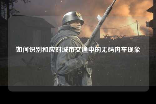 如何识别和应对城市交通中的无码肉车现象
